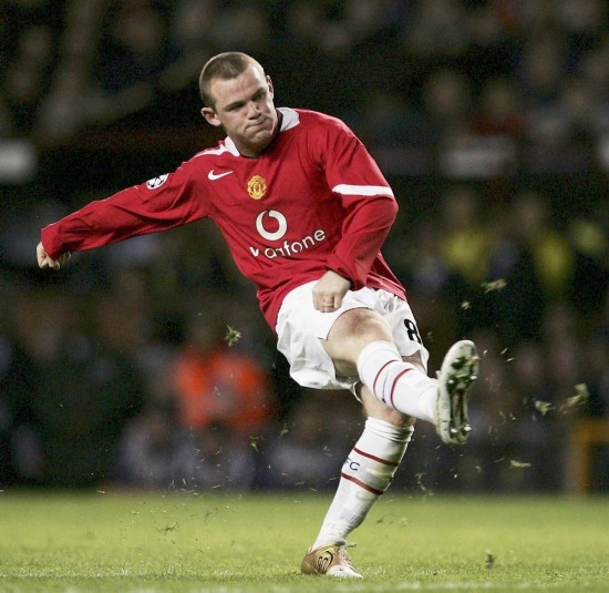 起就忠诚于 起就忠诚于